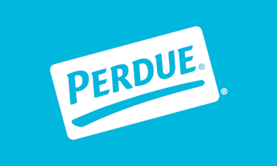 Perdue Picks CM as Creative AOR thumbnail image